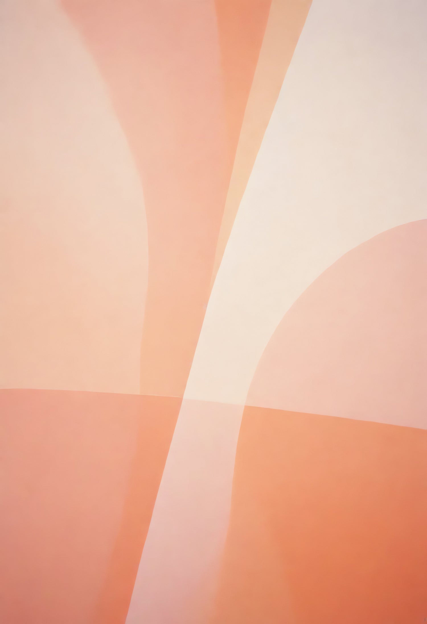 Abstract composition with soft orange hues and flowing shapes in a modern style