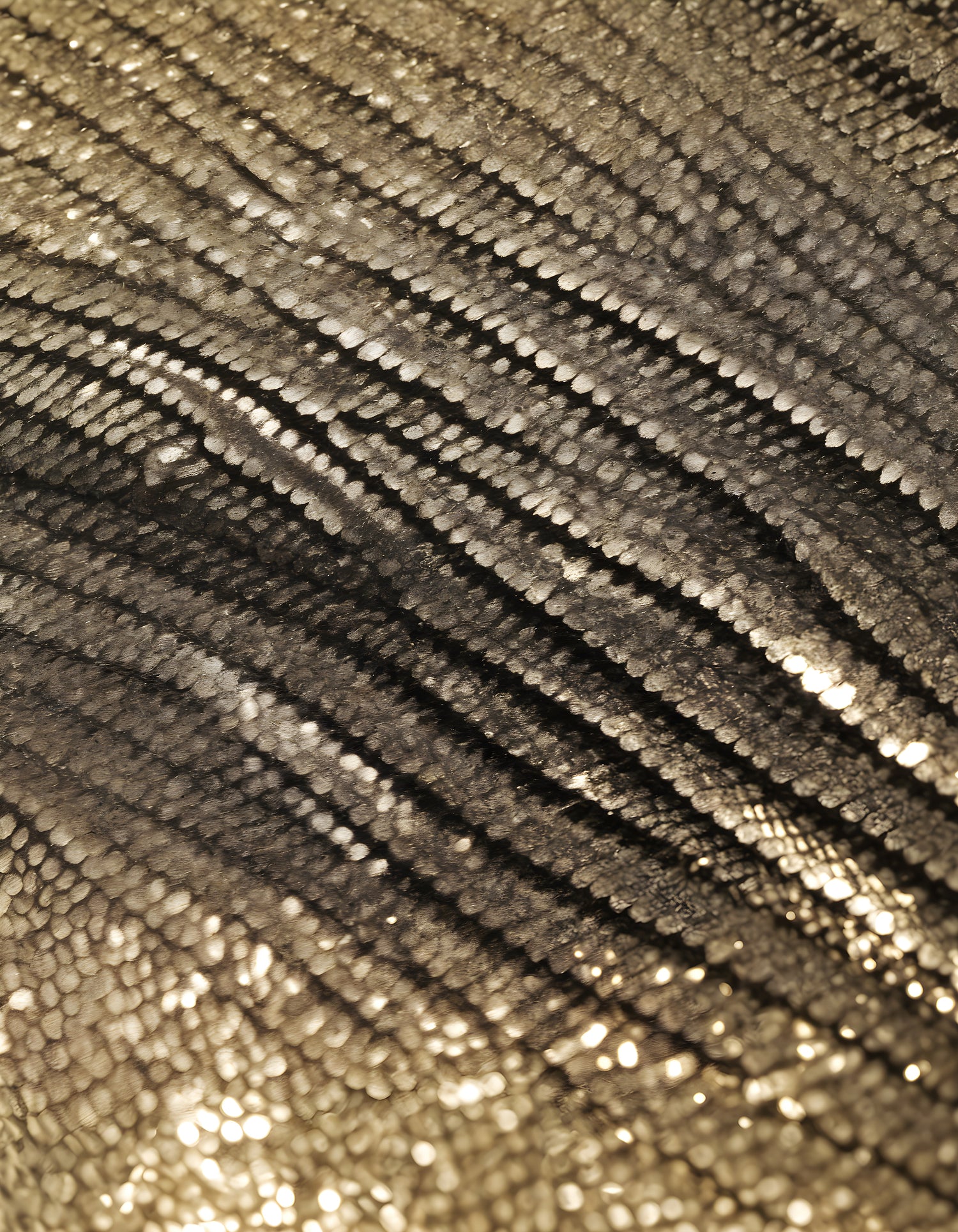 A close-up view of shimmering metallic scales glistening under soft light, showcasing texture and pattern intricacies