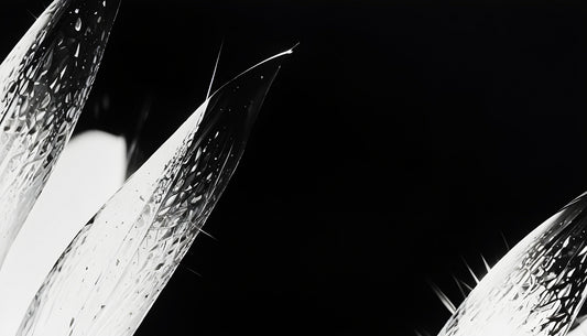 Close-up of sharp cactus spines against a dark background, highlighting their texture and detail