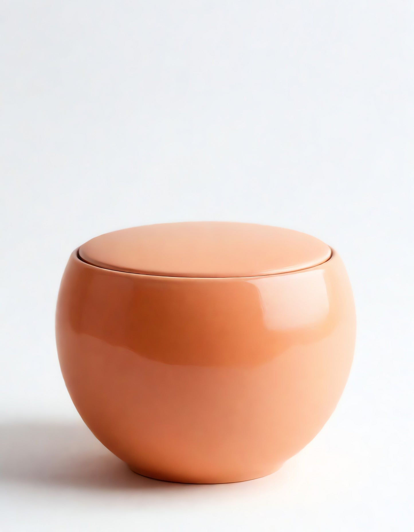 Glossy terracotta bowl with a removable lid resting on a plain white backdrop in natural lighting