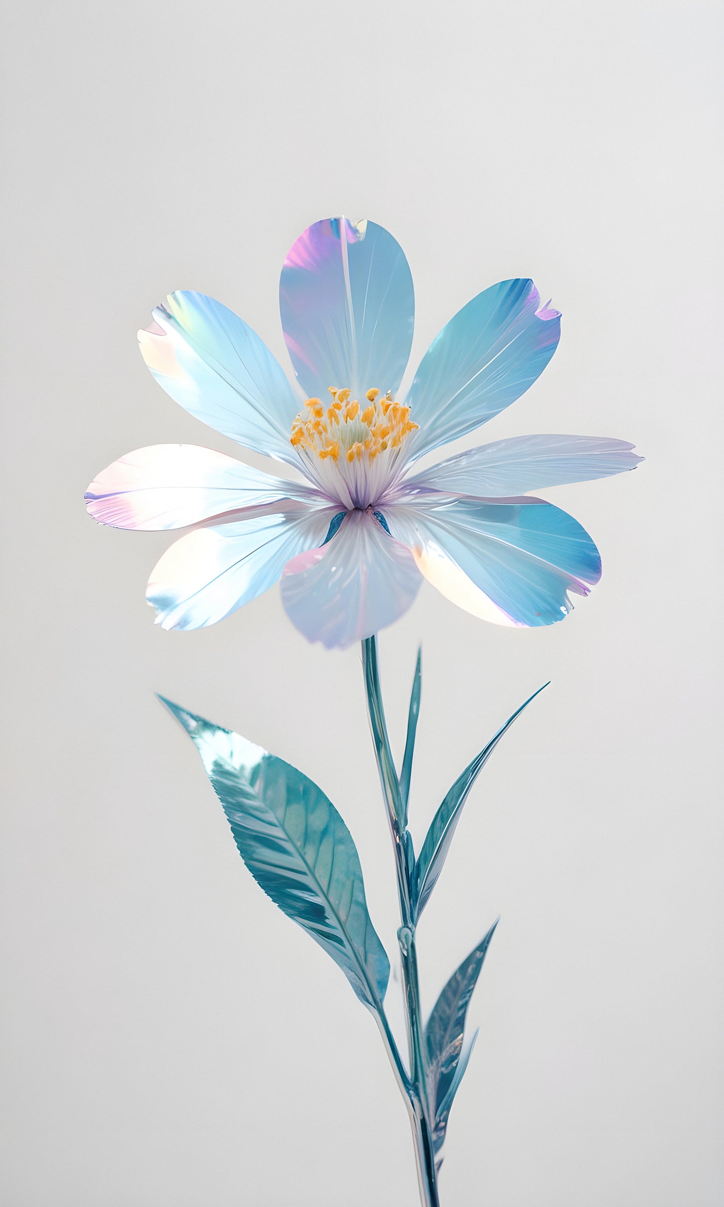 A delicate flower with iridescent petals stands against a minimalistic backdrop, showcasing its vibrant colors during daylight