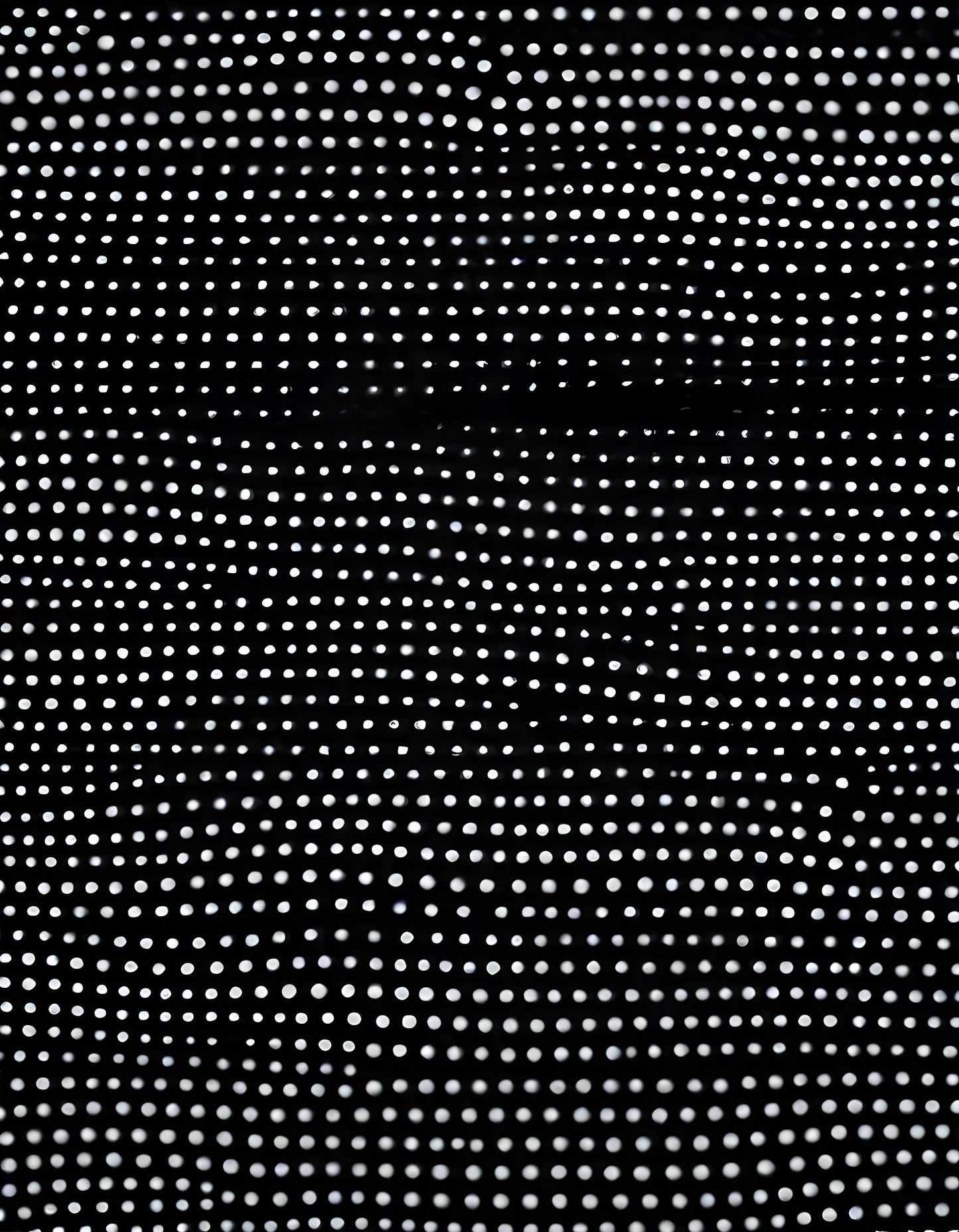 Abstract black and white pattern of evenly spaced dots creating a visually striking design