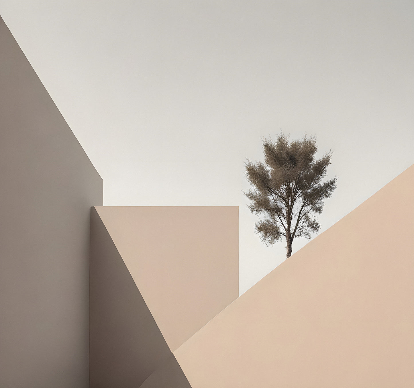 Contemporary architecture showcasing geometric forms with a solitary tree against a minimalist backdrop in a tranquil setting