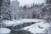 Winter in Lapland, Finland